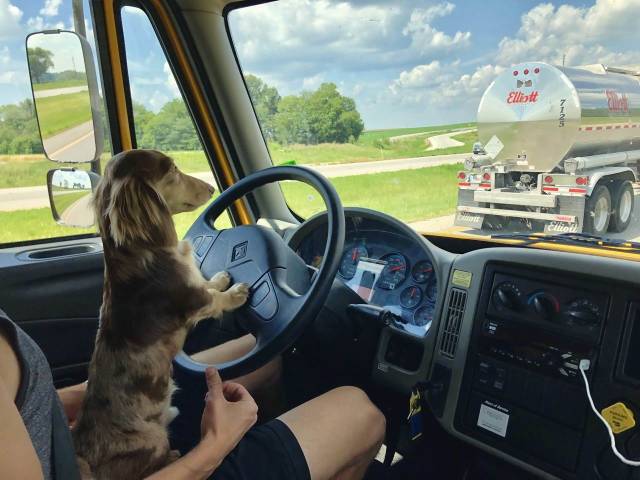 daily picdump 92 pics 25.html - 92 HD Photos | Premium Gallery 2018