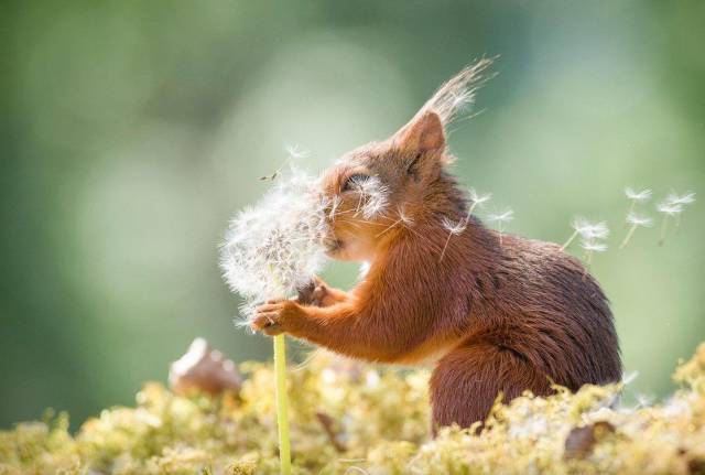 daily picdump 92 pics 25.html - 92 HD Photos | Premium Gallery 2018