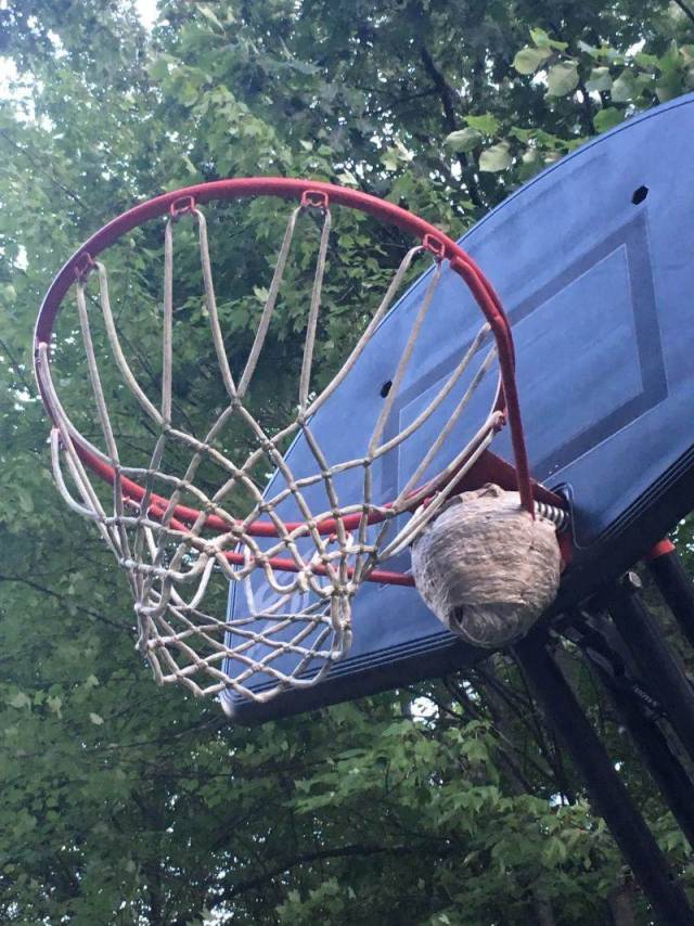 daily picdump 92 pics 25.html - 92 HD Photos | Premium Gallery 2018