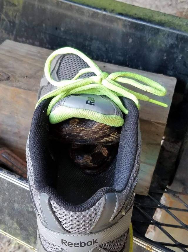 daily picdump 92 pics 25.html - 92 HD Photos | Premium Gallery 2018