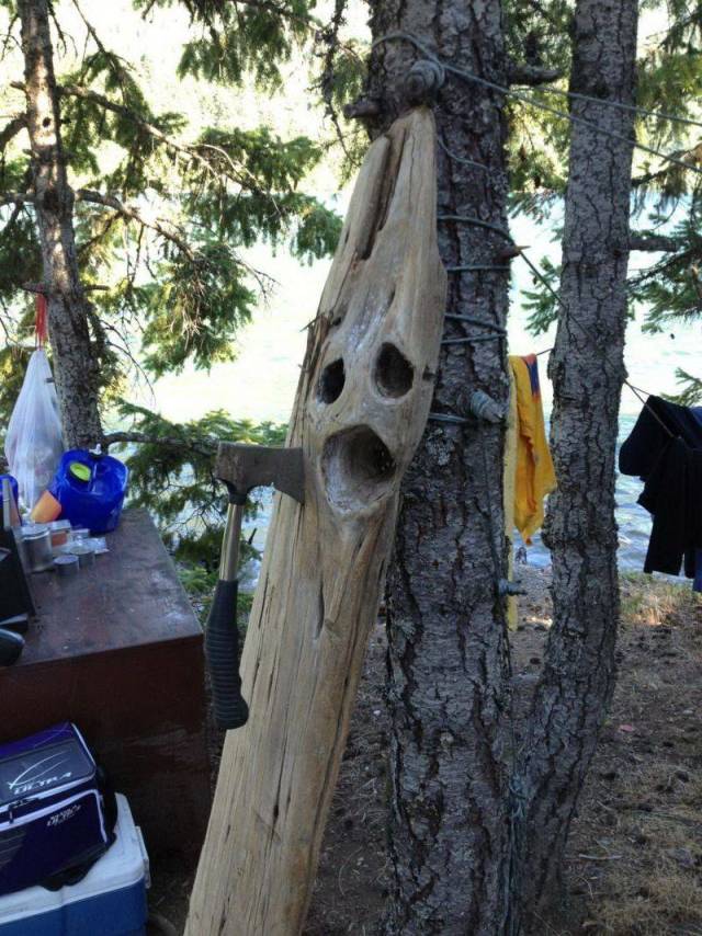 daily picdump 92 pics 25.html - 92 HD Photos | Premium Gallery 2018