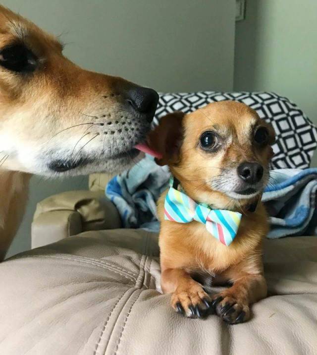 daily picdump 92 pics 25.html - 92 HD Photos | Premium Gallery 2018