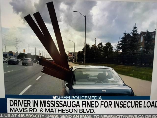 morning picdump 56 pics 12.html - 56 HD Photos | Premium Gallery 2018