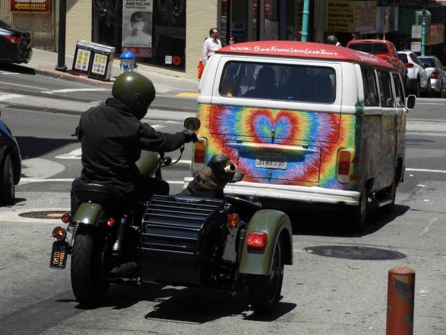 morning picdump 56 pics 12.html - 56 HD Photos | Premium Gallery 2018