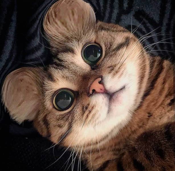 morning picdump 56 pics 12.html - 56 HD Photos | Premium Gallery 2018