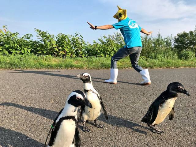 morning picdump 56 pics 12.html - 56 HD Photos | Premium Gallery 2018