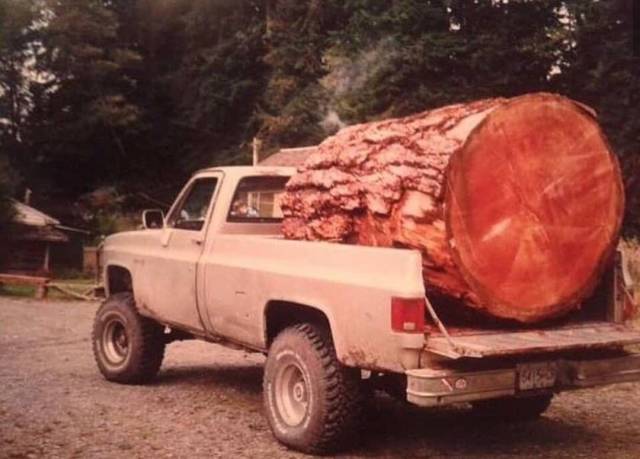 morning picdump 56 pics 12.html - 56 HD Photos | Premium Gallery 2018