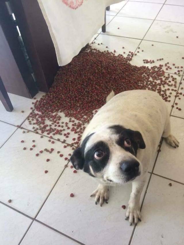 daily picdump 91 pics 38.html - 91 HD Photos | Premium Gallery 2018