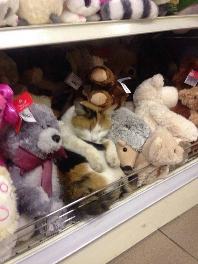 daily picdump 91 pics 38.html - 91 HD Photos | Premium Gallery 2018