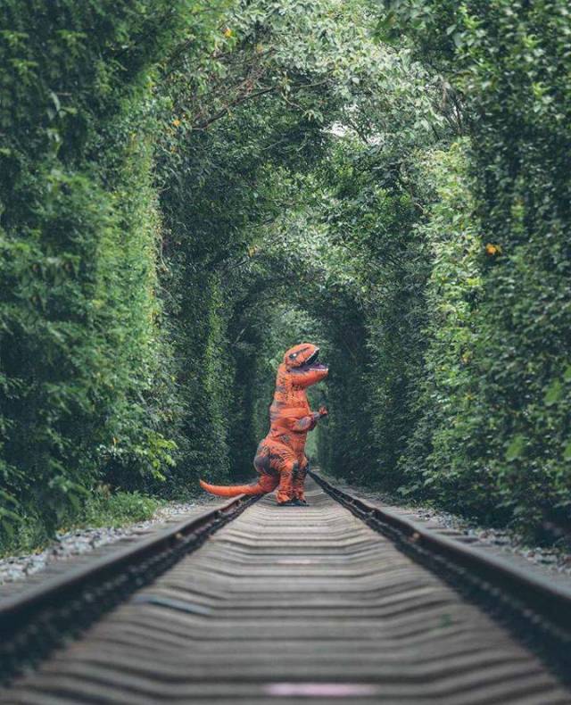 daily picdump 91 pics 38.html - 91 HD Photos | Premium Gallery 2018