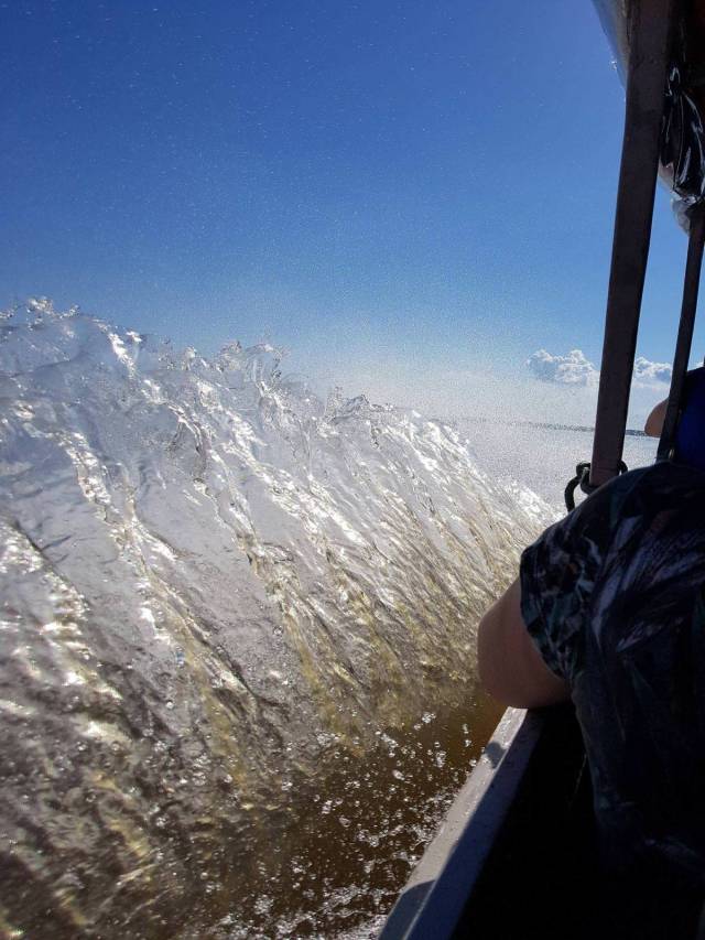 daily picdump 91 pics 38.html - 91 HD Photos | Premium Gallery 2018