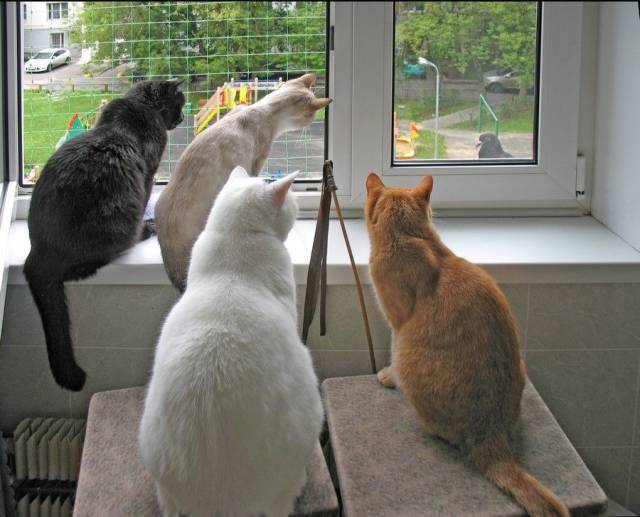 morning picdump 54 pics 5.html - 54 HD Photos | Premium Gallery 2018