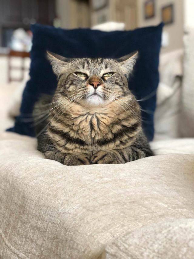 morning picdump 54 pics 5.html - 54 HD Photos | Premium Gallery 2018