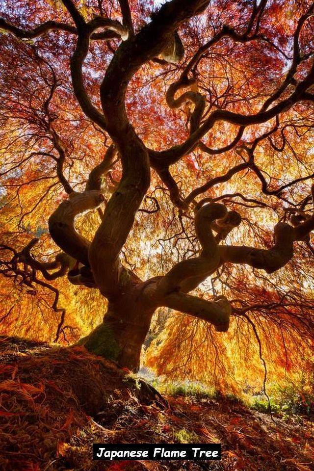 morning picdump 54 pics 5.html - 54 HD Photos | Premium Gallery 2018