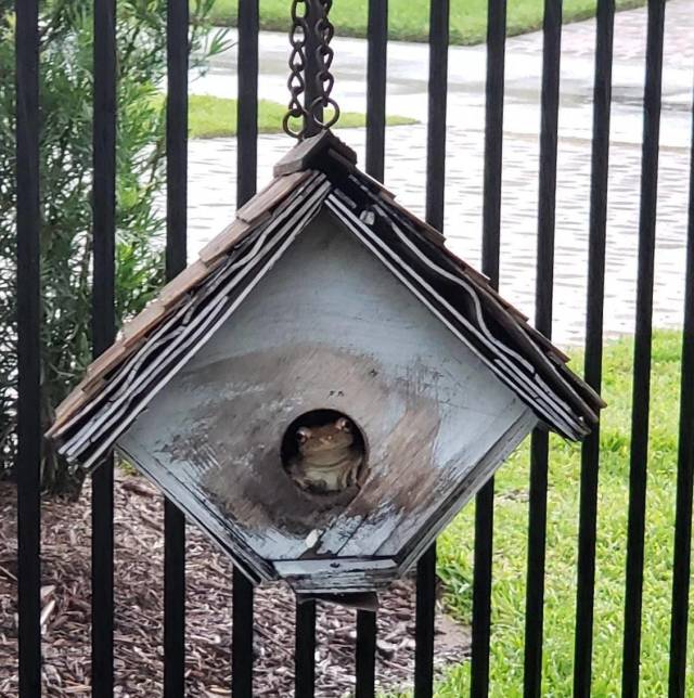 morning picdump 54 pics 5.html - 54 HD Photos | Premium Gallery 2018