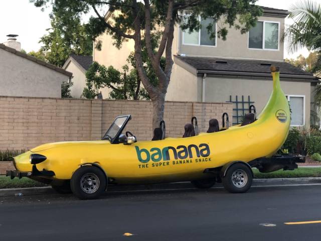 daily picdump 83 pics 15.html - 83 HD Photos | Premium Gallery 2018