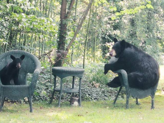 daily picdump 83 pics 15.html - 83 HD Photos | Premium Gallery 2018