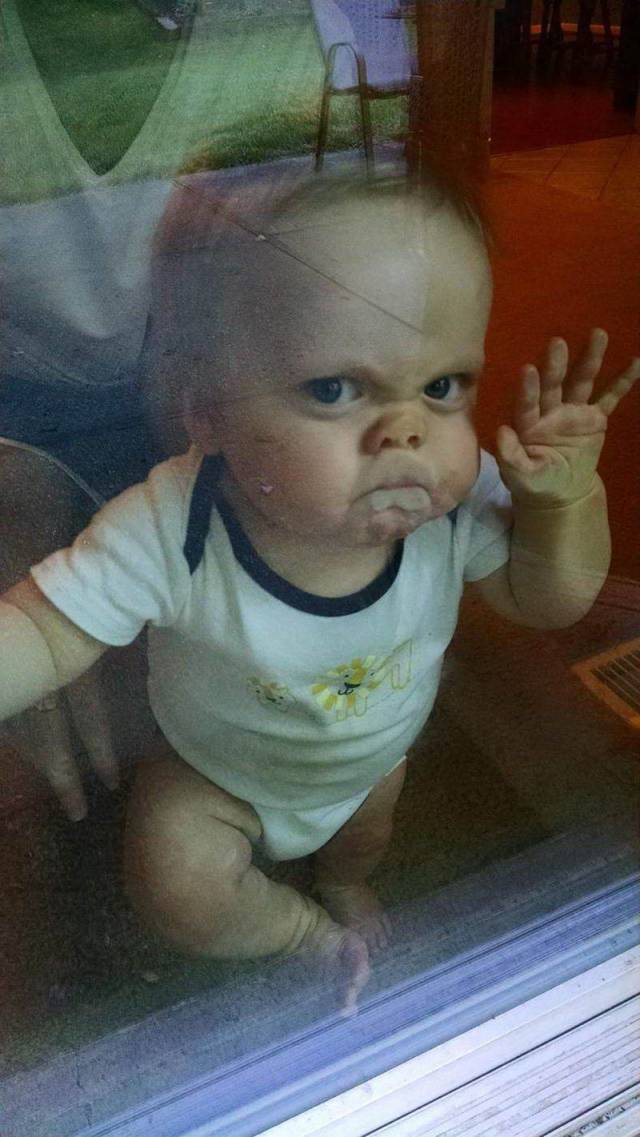 daily picdump 83 pics 15.html - 83 HD Photos | Premium Gallery 2018