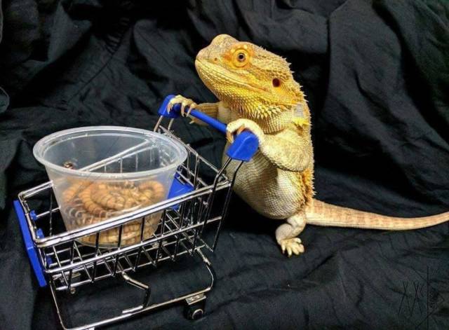 morning picdump 58 pics 54.html - 58 HD Photos | Premium Gallery 2018