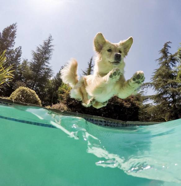 page,2,top 250 morning pics of the year 2018.html - 1 HD Photos | Premium Gallery 2018