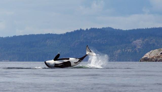 morning picdump 58 pics 54.html - 58 HD Photos | Premium Gallery 2018