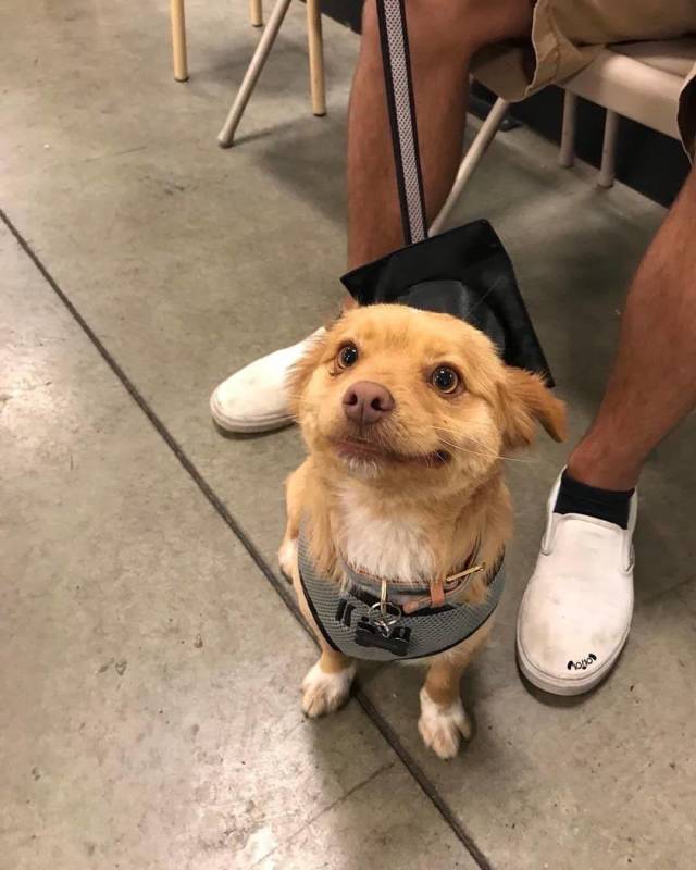 morning picdump 58 pics 54.html - 58 HD Photos | Premium Gallery 2018