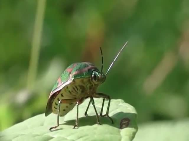 page,2,top 50 videos of the year 2018.html - 1 HD Video | Premium Gallery 2018