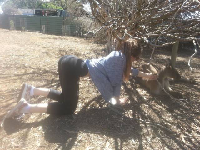 daily picdump 93 pics 24.html - 93 HD Photos | Premium Gallery 2018