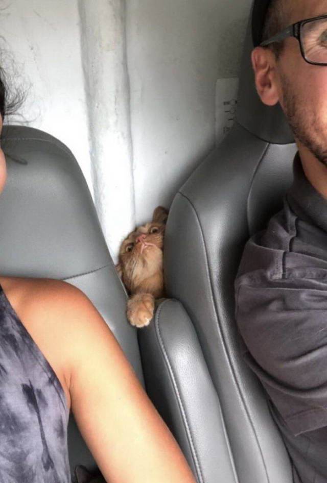 daily picdump 93 pics 24.html - 93 HD Photos | Premium Gallery 2018