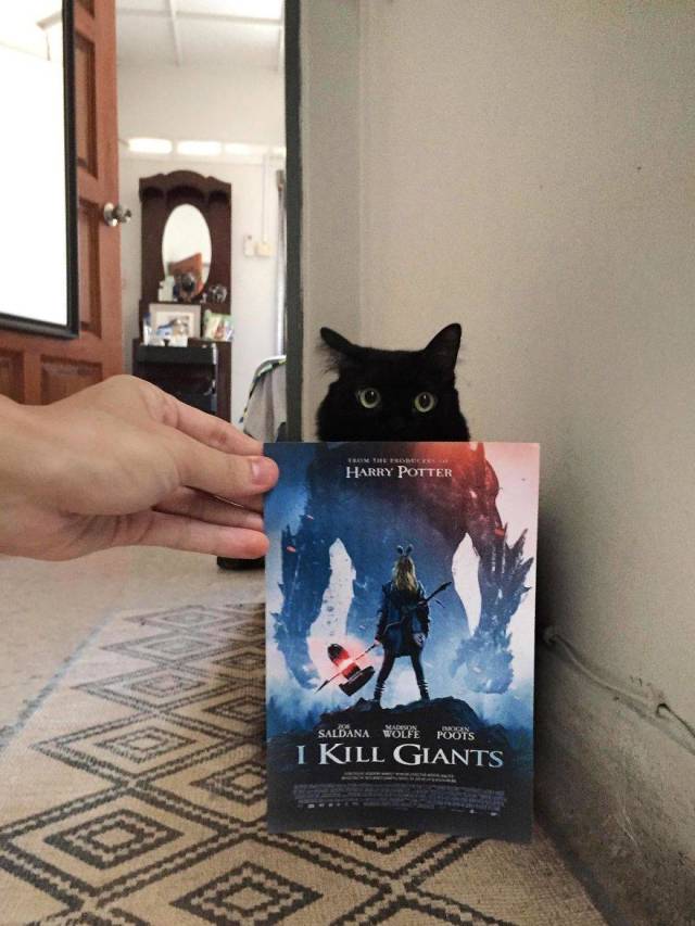 daily picdump 93 pics 24.html - 93 HD Photos | Premium Gallery 2018