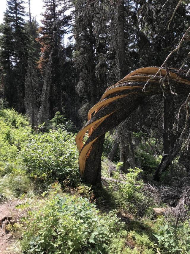 daily picdump 93 pics 24.html - 93 HD Photos | Premium Gallery 2018