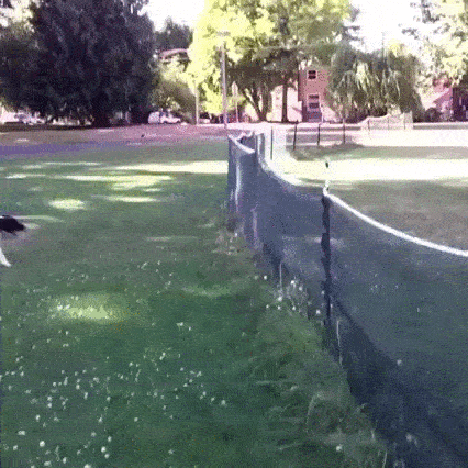 Everything Went As Planned. Totally