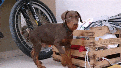 Everything Went As Planned. Totally