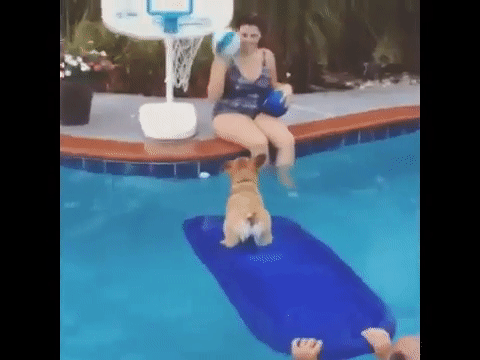 everything went as planned totally 27 gifs 2.html - 1 HD GIF | Premium Gallery 2018