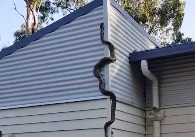 morning picdump 57 pics 9.html - 57 HD Photos | Premium Gallery 2018