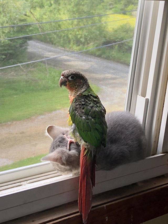 morning picdump 57 pics 9.html - 57 HD Photos | Premium Gallery 2018