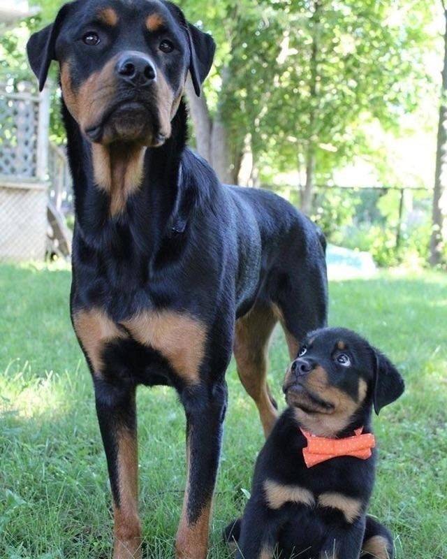 morning picdump 57 pics 9.html - 57 HD Photos | Premium Gallery 2018