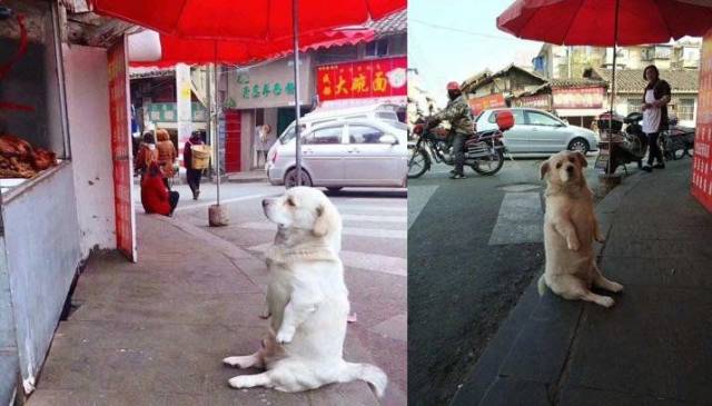 daily picdump 91 pics 42.html - 91 HD Photos | Premium Gallery 2018