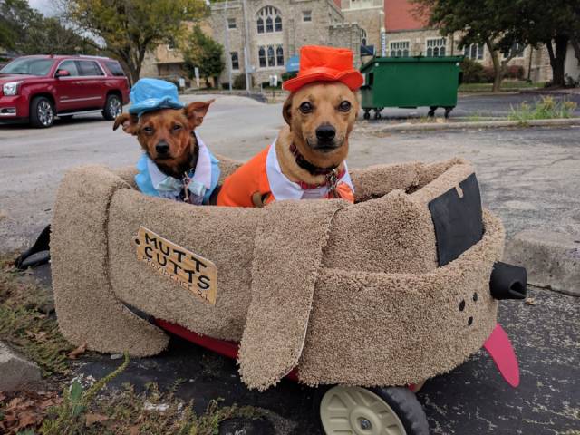 daily picdump 91 pics 42.html - 91 HD Photos | Premium Gallery 2018