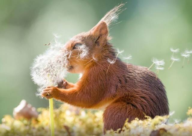 daily picdump 91 pics 42.html - 91 HD Photos | Premium Gallery 2018