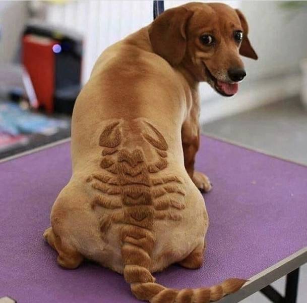 daily picdump 91 pics 42.html - 91 HD Photos | Premium Gallery 2018