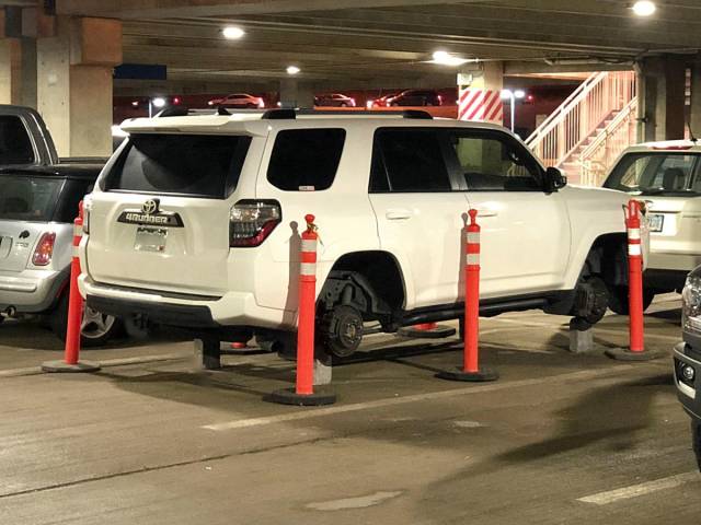 daily picdump 91 pics 42.html - 91 HD Photos | Premium Gallery 2018