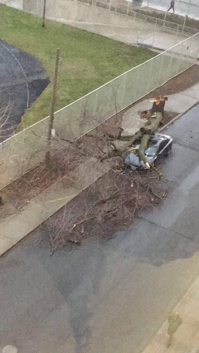 daily picdump 91 pics 42.html - 91 HD Photos | Premium Gallery 2018