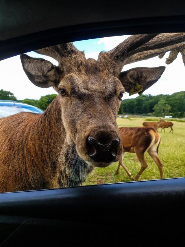 daily picdump 91 pics 42.html - 91 HD Photos | Premium Gallery 2018