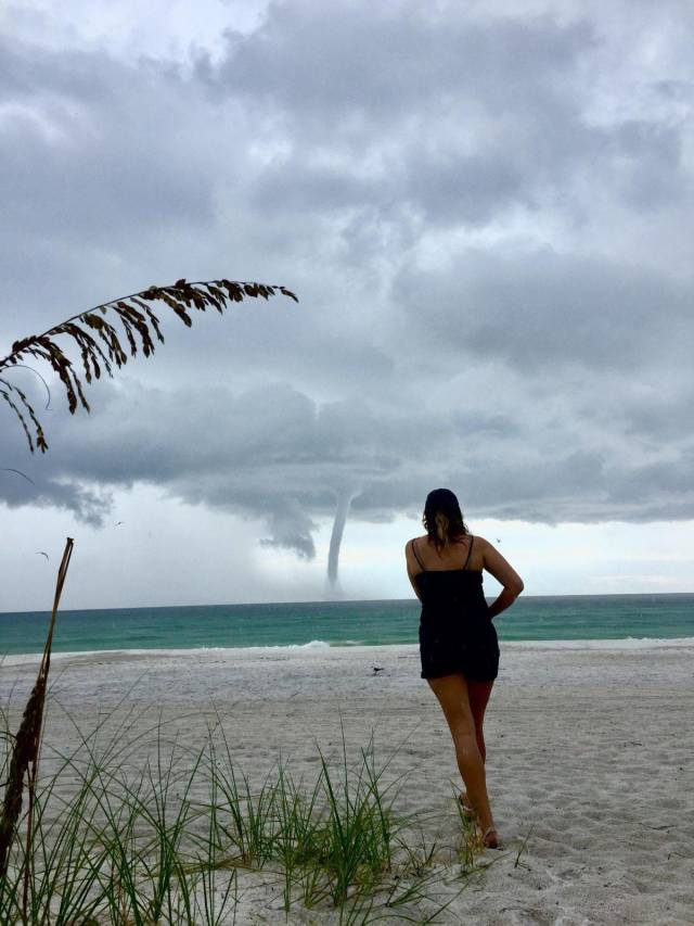 daily picdump 91 pics 42.html - 91 HD Photos | Premium Gallery 2018