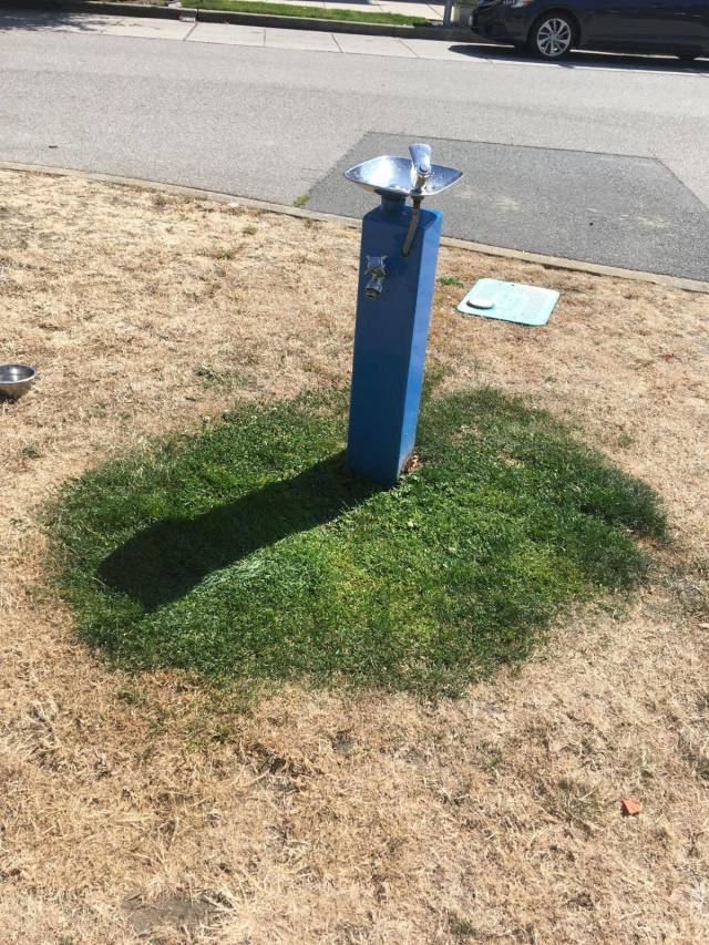 daily picdump 91 pics 42.html - 91 HD Photos | Premium Gallery 2018