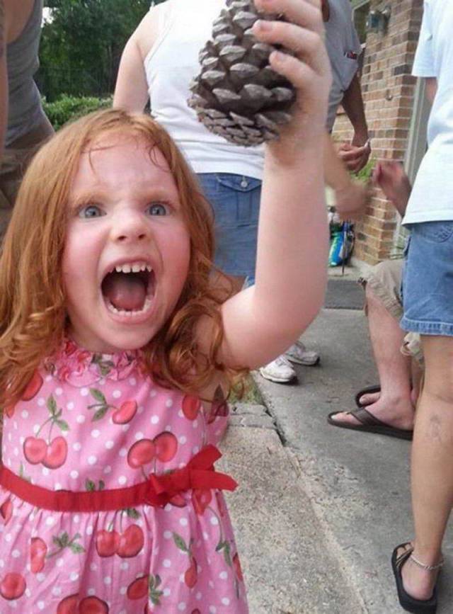 daily picdump 91 pics 42.html - 91 HD Photos | Premium Gallery 2018