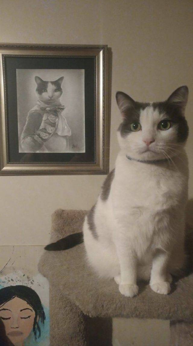 daily picdump 91 pics 42.html - 91 HD Photos | Premium Gallery 2018