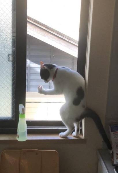 Morning Picdump