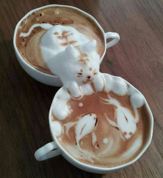 Morning Picdump